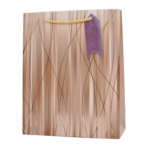 Пакет под. 26*32*10 M/B Мікс арт.QZ3095/3049/649/3088/3083/HL2203/6653/WB2020 *12