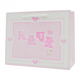 Пакет под. 25,4*20*9,5см Кольоровий Ієрогліфи Китайські Мікс арт.HZ59944 *12