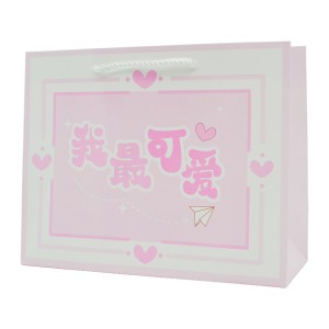 Пакет под. 25,4*20*9,5см Кольоровий Ієрогліфи Китайські Мікс арт.HZ59944 *12