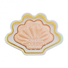 Хайлайтер SCANLON Terra Cotta арт.TE836 *12